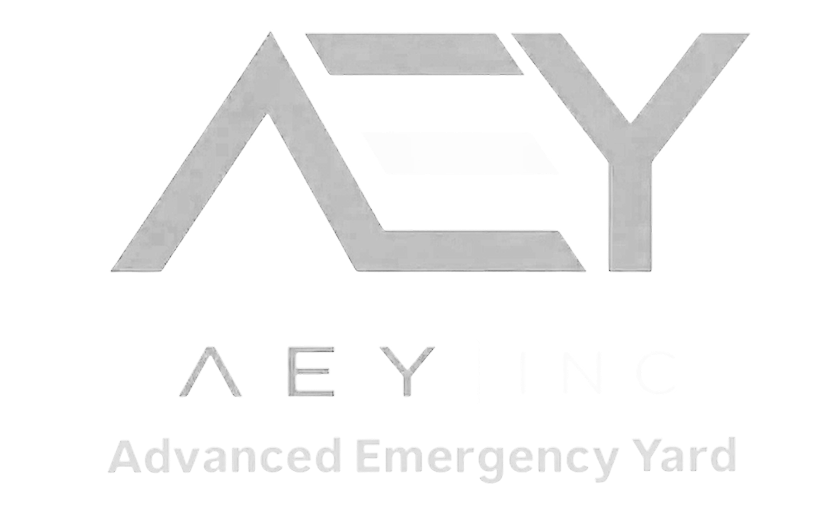 logo aey