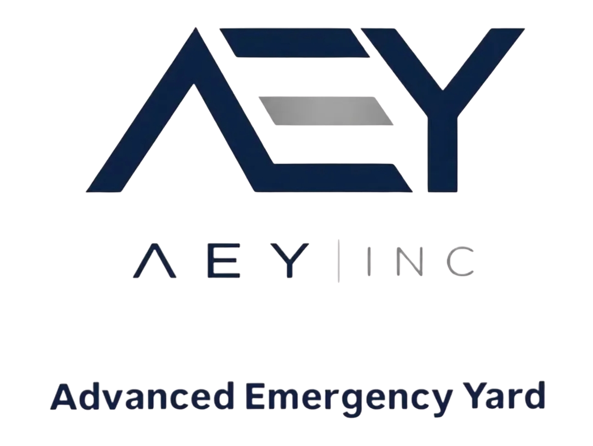 logo aey